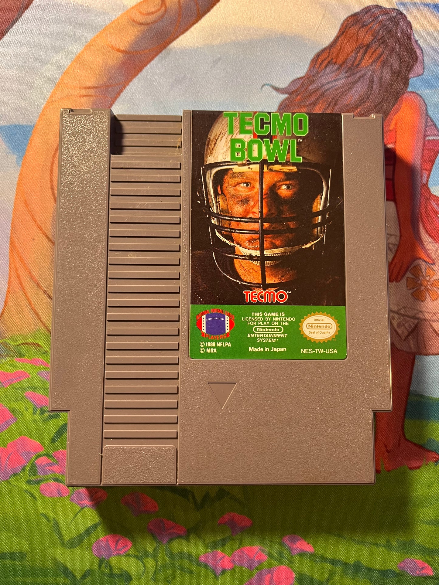 Tecmo Bowl NES