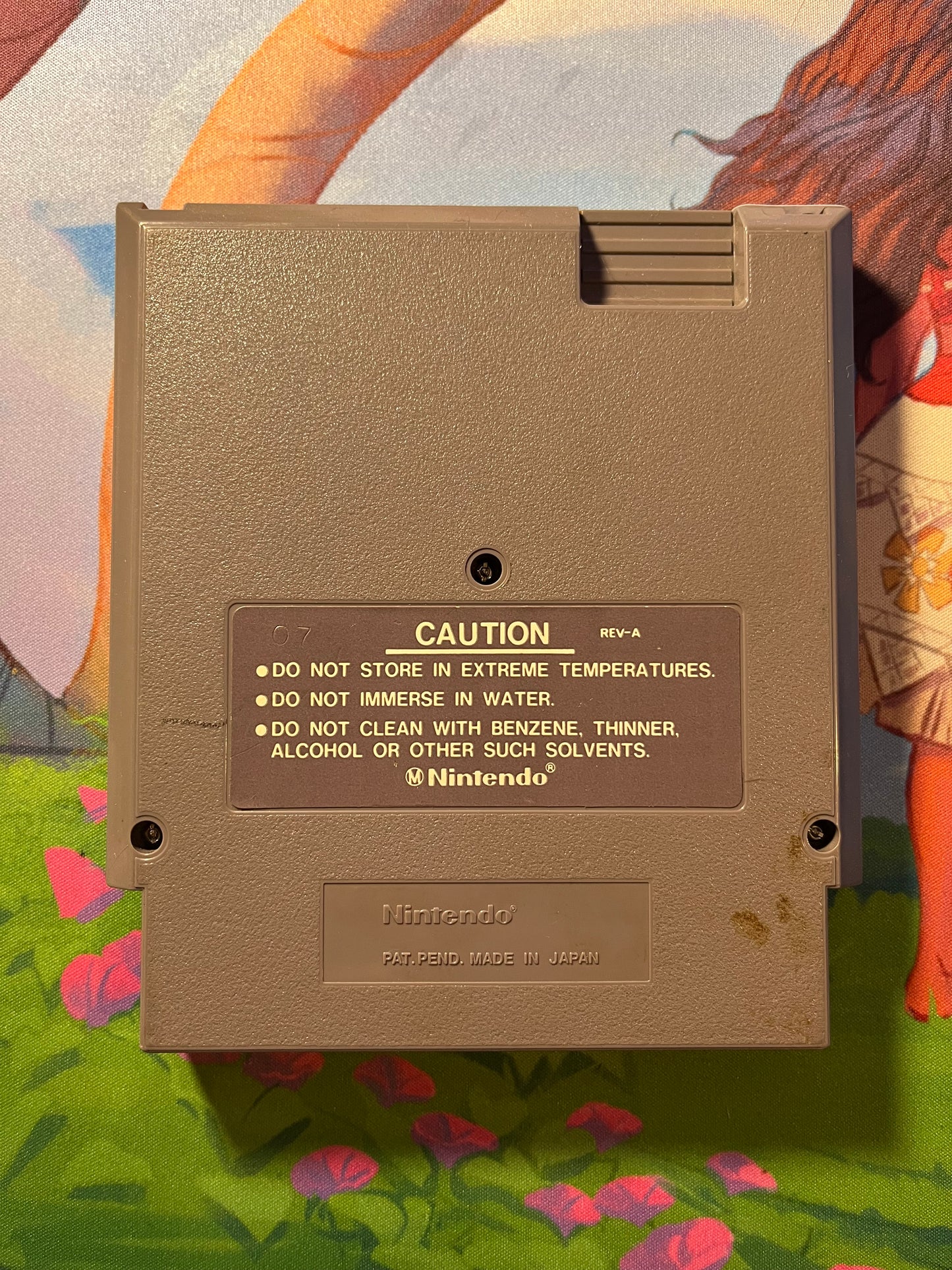 Wizards & Warriors NES